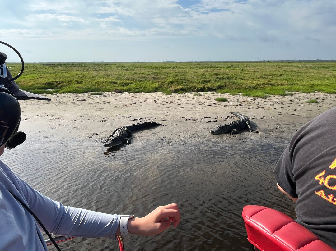 A-Awesome Airboat Rides-Christmas必去景点
