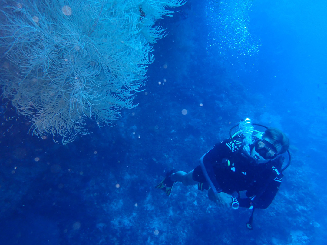 Camotes Dive Centre
