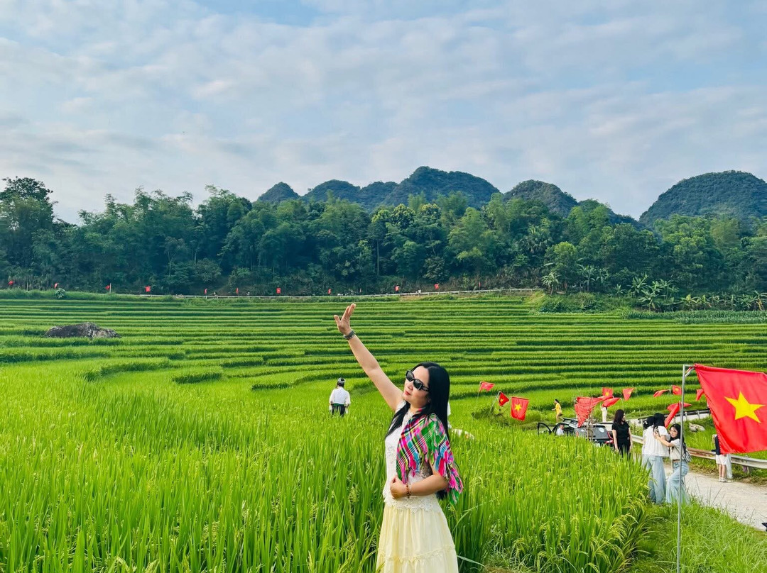 浦项自然小屋主图