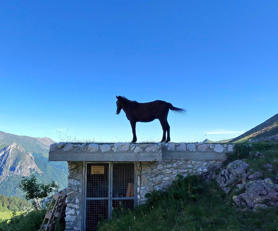 Rifugio Garelli主图