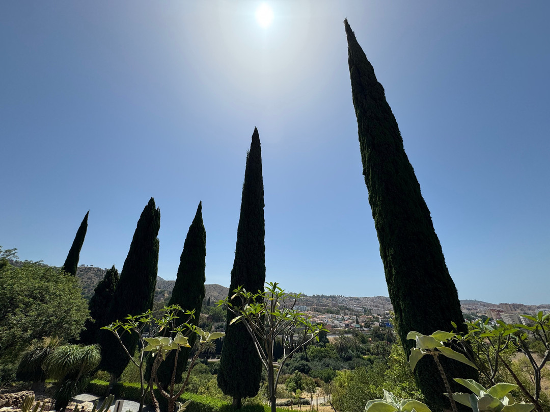 Jardín Botánico Histórico La Concepción-马拉加必去景点
