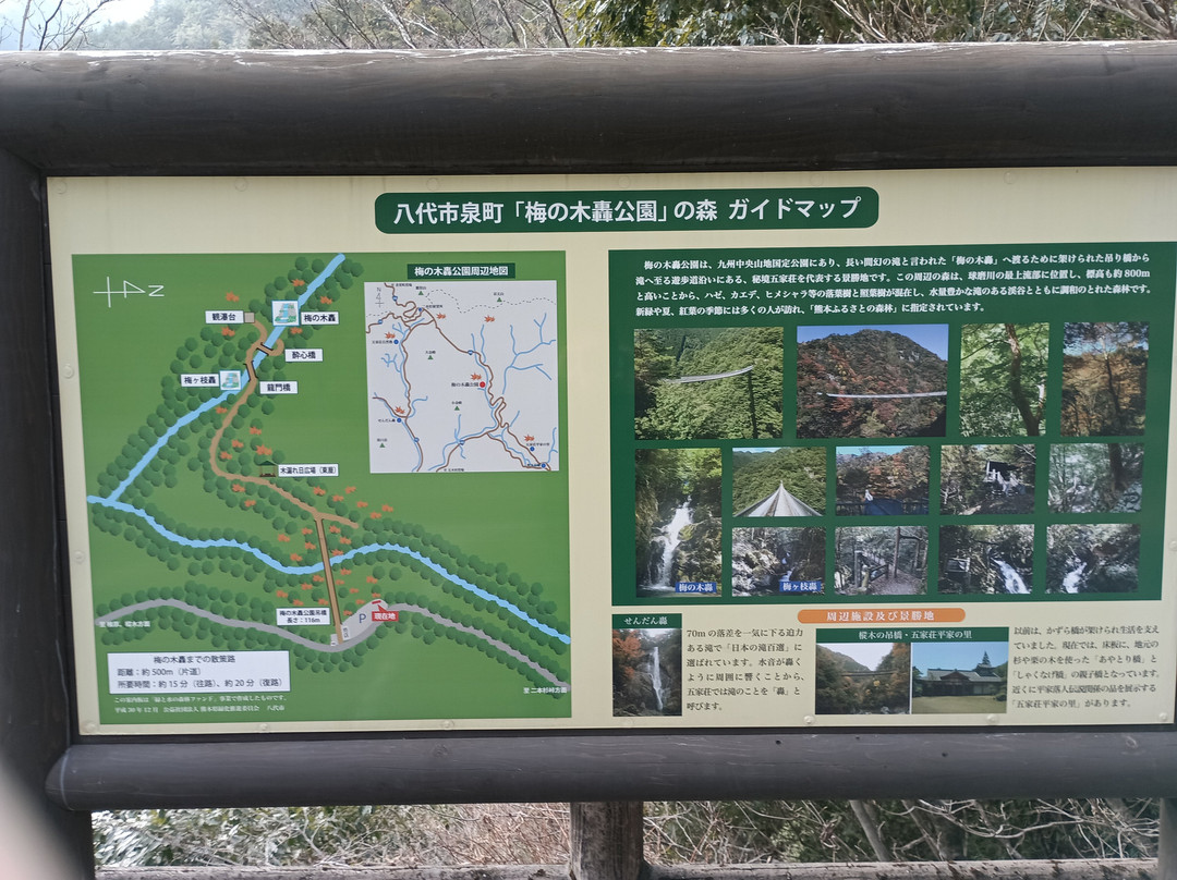 Supension Bridge, Umenoki Todoroki Park-八代市必去景点
