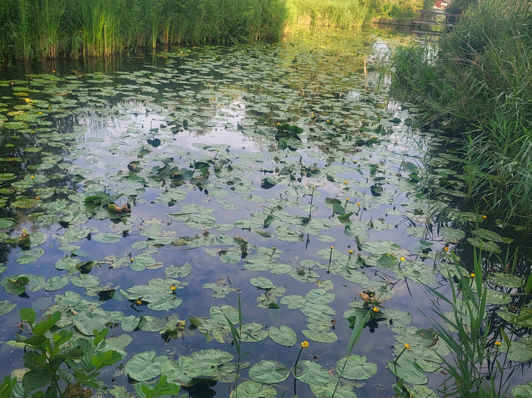 Park de Oeverlanden-阿姆斯特丹必去景点