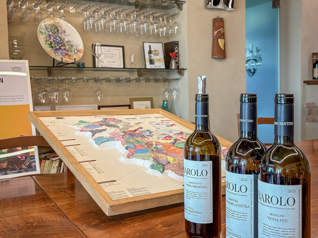 Azienda Agricola Conterno Fantino-蒙福特-达尔巴必去景点