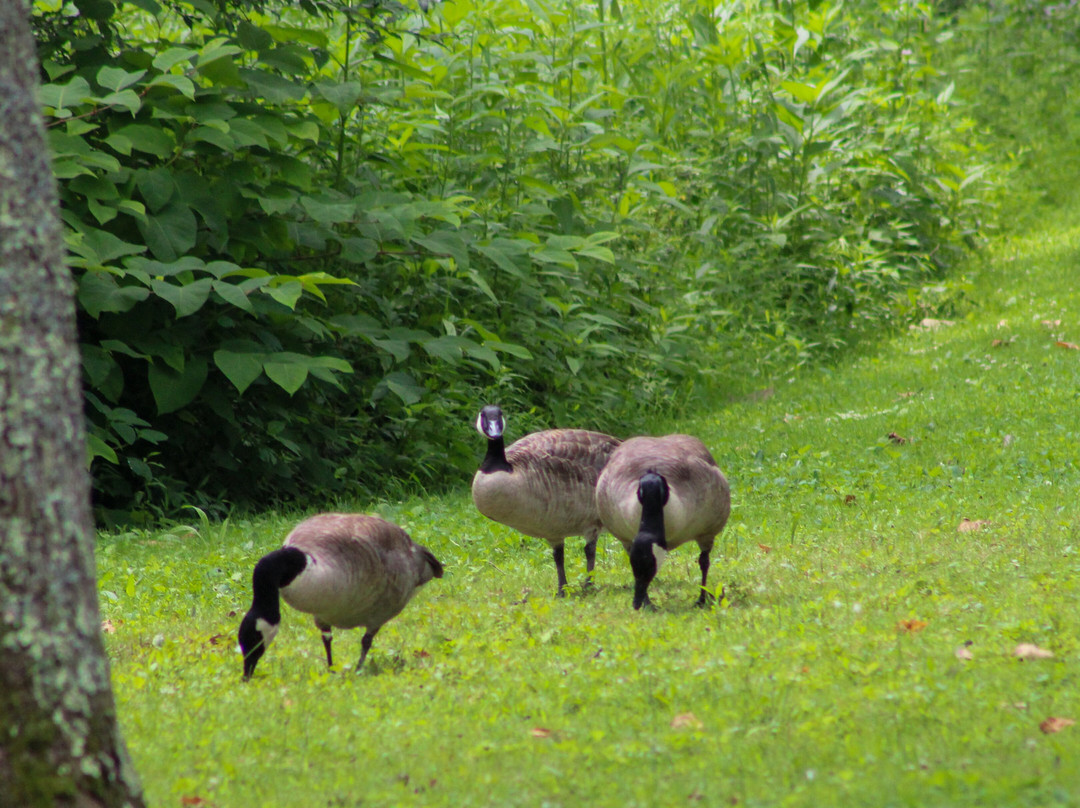 Beaver Creek State Park-East Liverpool必去景点