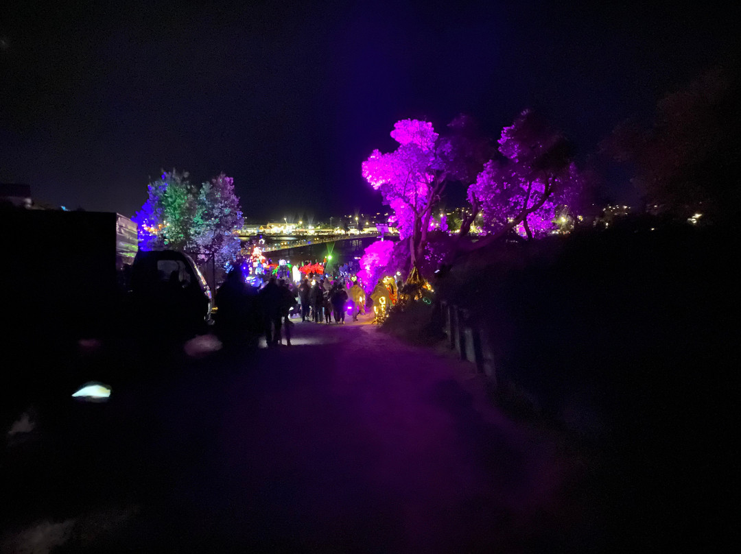 East Gippsland Winter Festival-莱克斯恩特伦斯必去景点