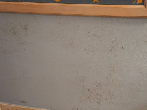 天堂海滩伊贝罗斯塔浪花酒店-旅行者