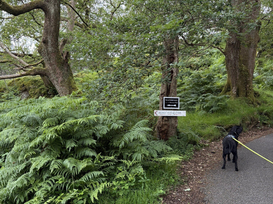 Ceunant Mawr Waterfall-Llanberis必去景点