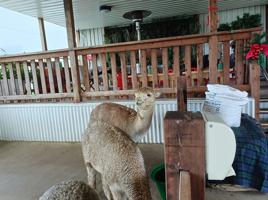 Creswick Woollen Mills-Creswick必去景点