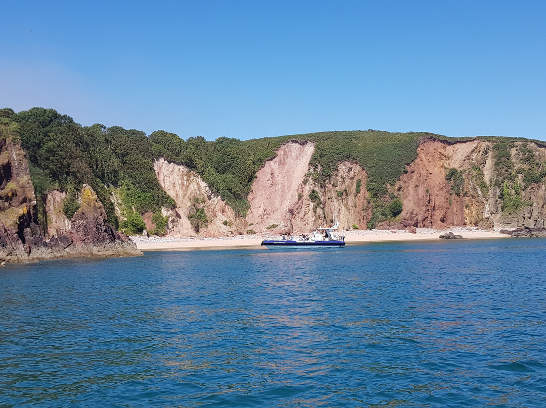 Saundersfoot Sea Safari-桑德斯富特必去景点