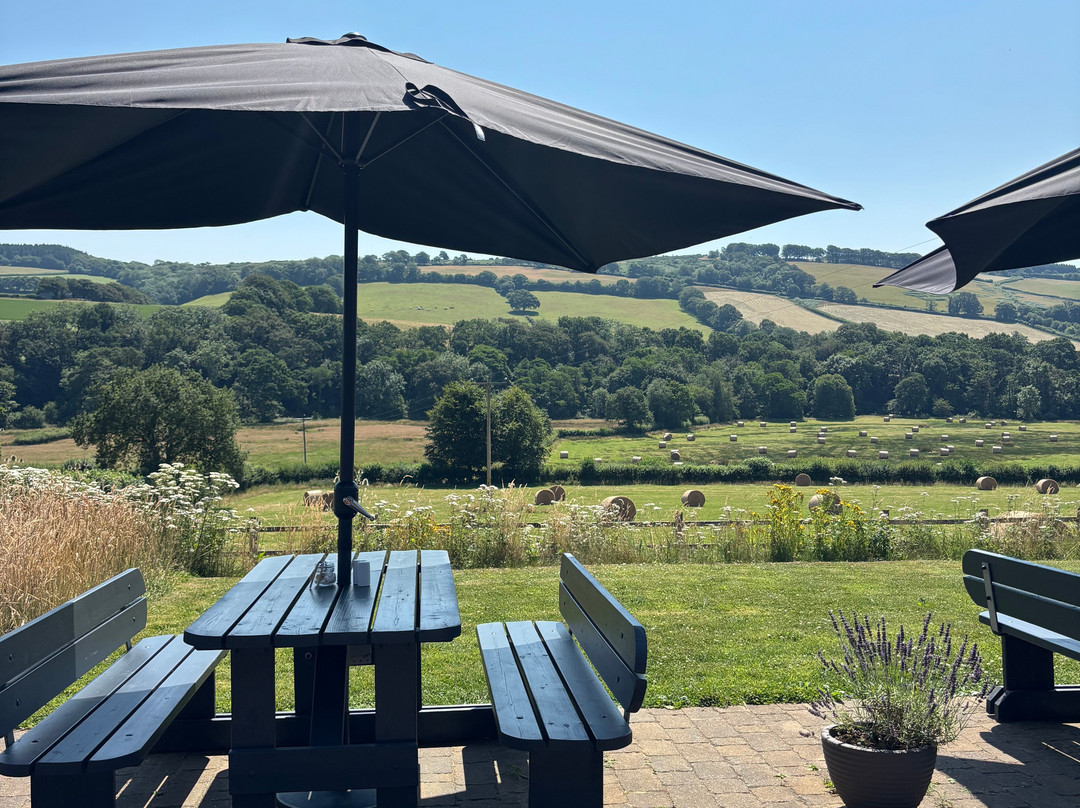 Alder Vineyard-Lewdown必去景点