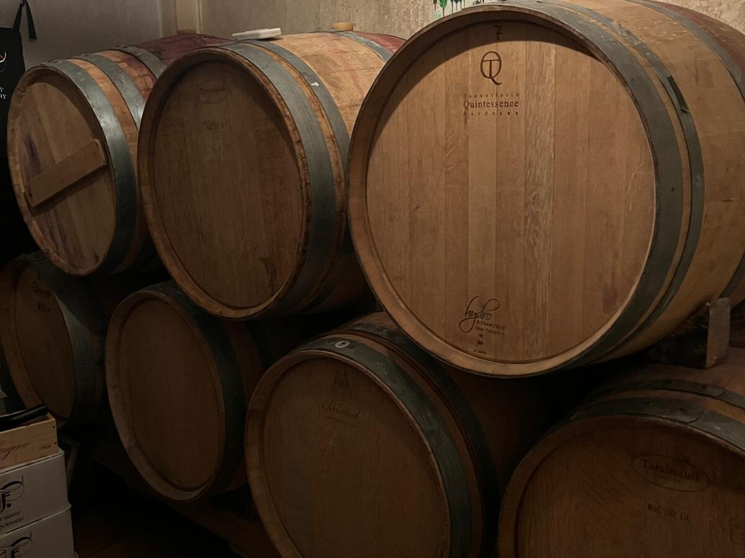 Tzikas' Family Winery-Kassandreia必去景点
