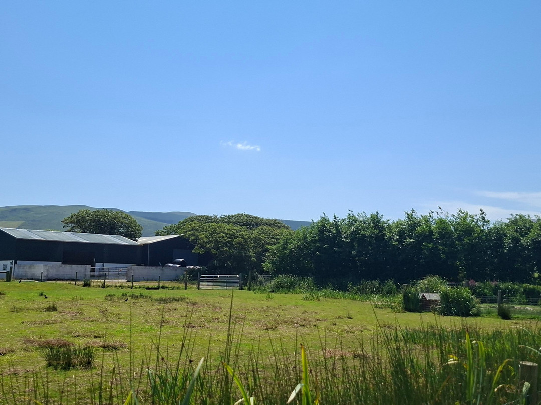 Sandy Feet Farm-Camp必去景点