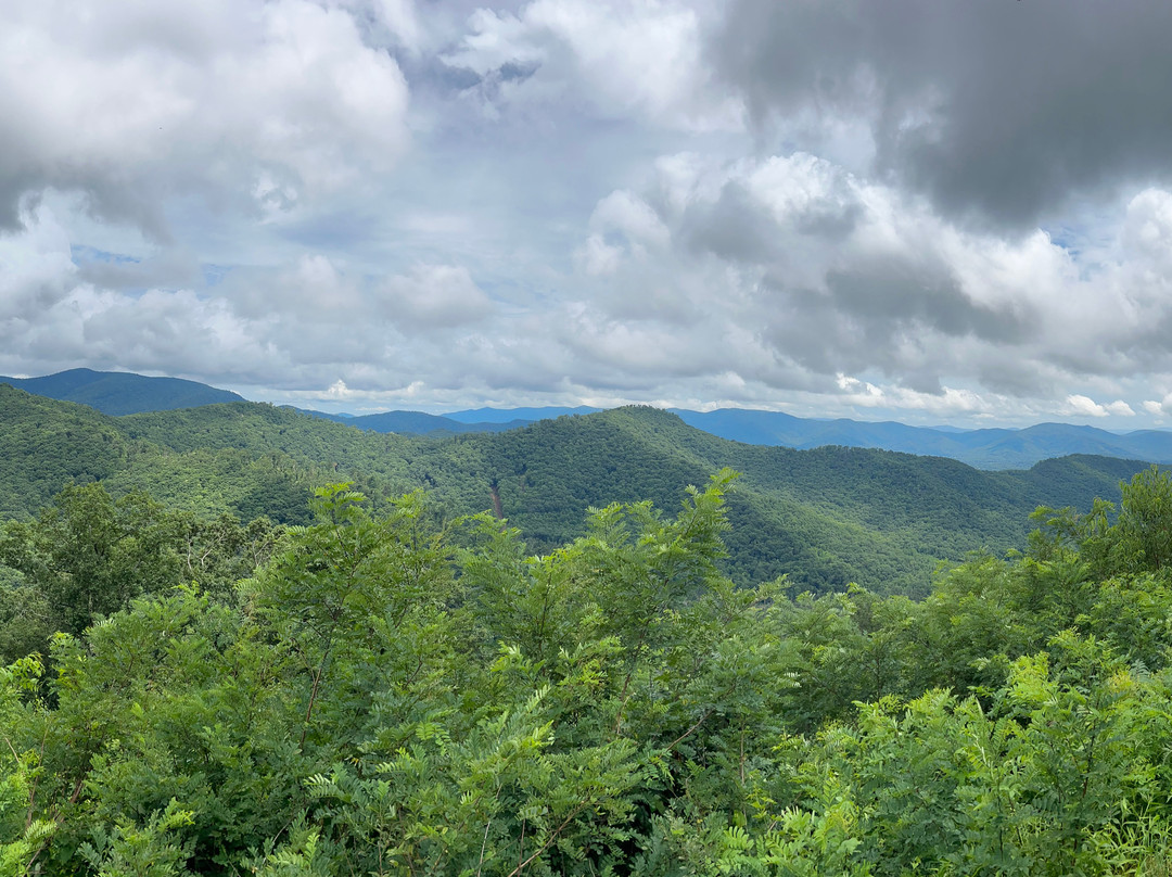 Mount Mitchell State Park-Burnsville必去景点