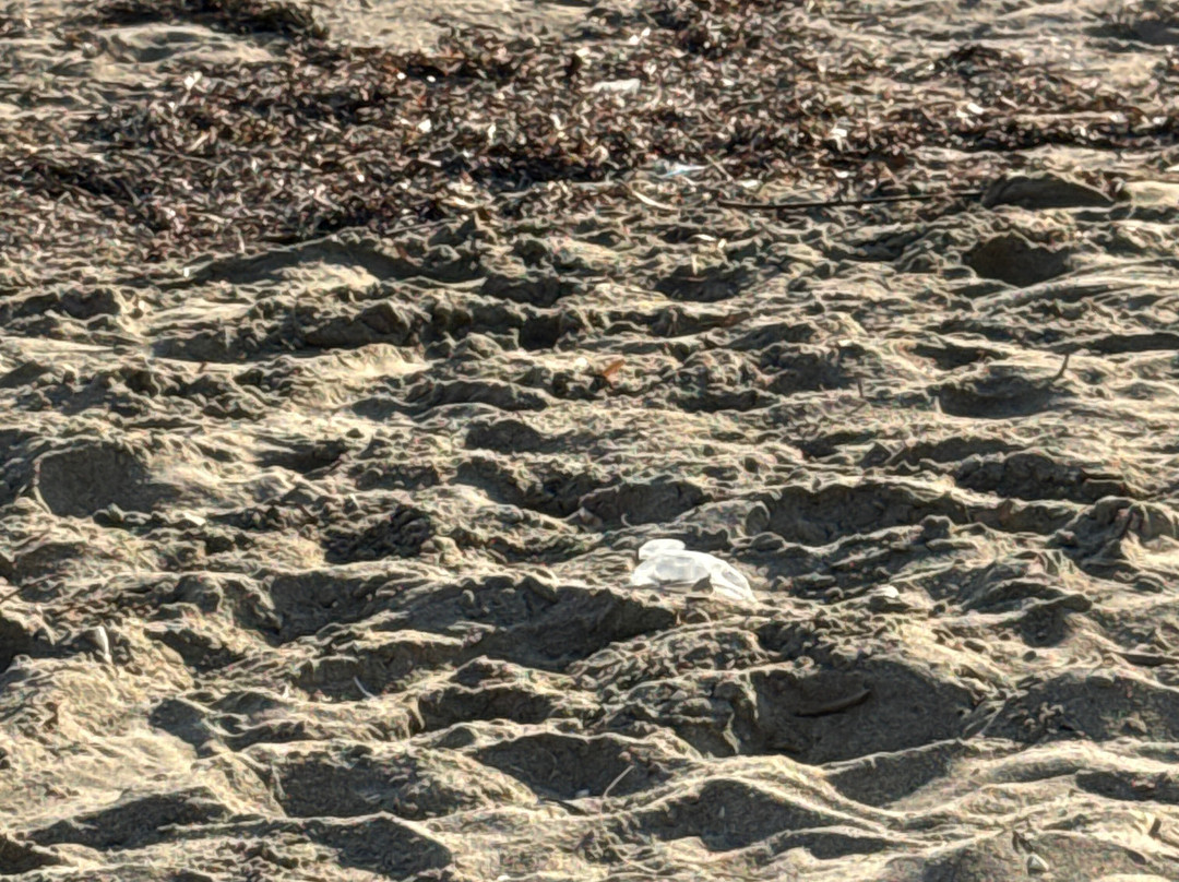 Depranos Beach-Igoumenitsa必去景点