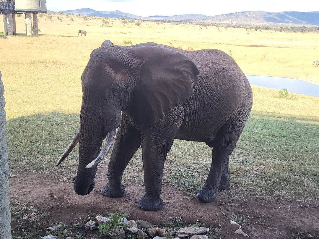 Taita Hills Wildlife Sanctuary-西察沃国家公园必去景点