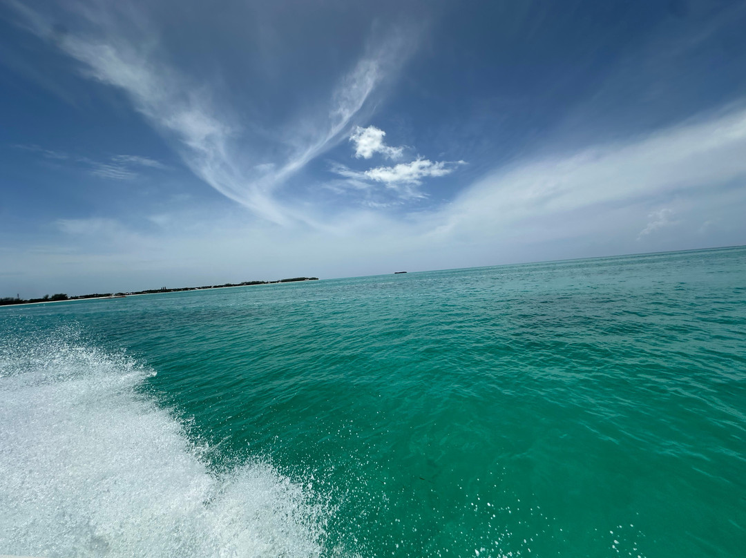 Eleuthera Outdoor Center-Tarpum Bay必去景点