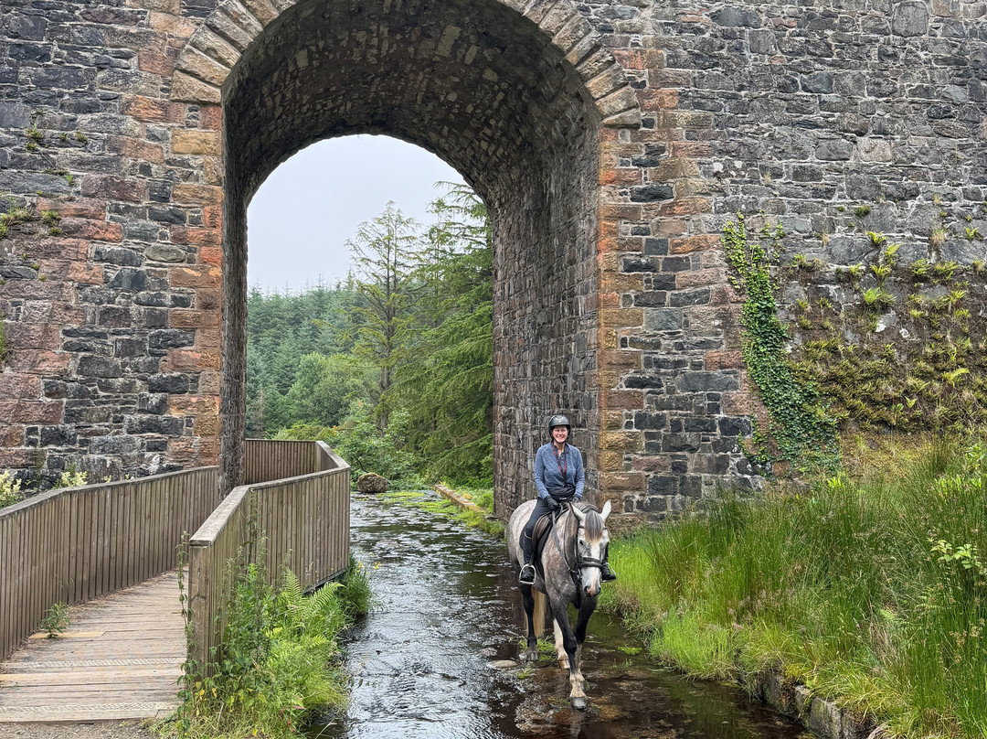Bespoke Equestrian Ireland-都柏林必去景点