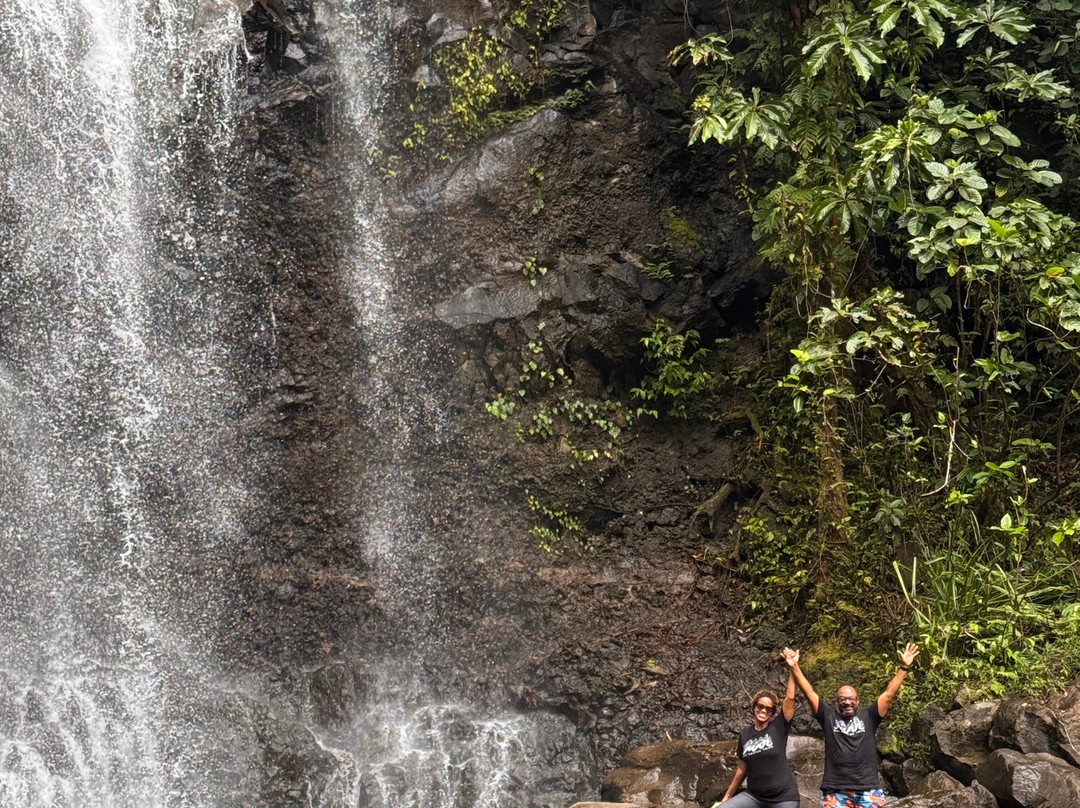 Tavoro Waterfalls-塔韦乌尼岛必去景点