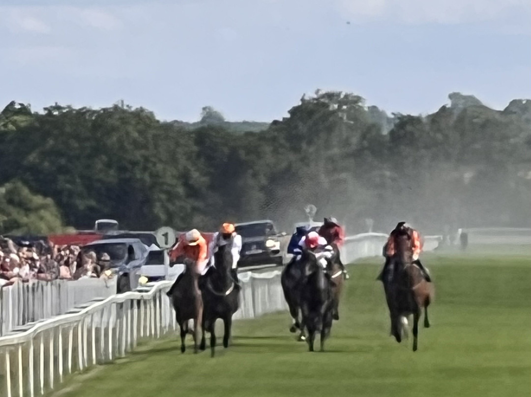 Ripon Racecourse-里彭必去景点