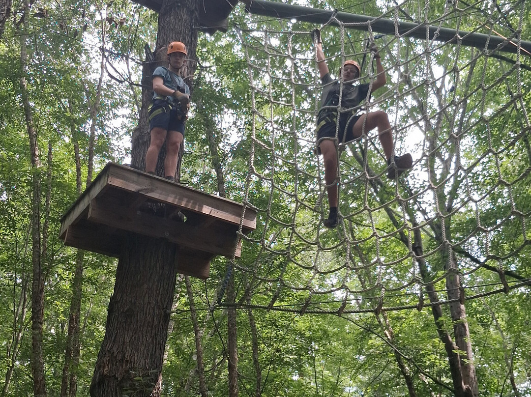 Canopy Adventure Park-中洛锡安必去景点