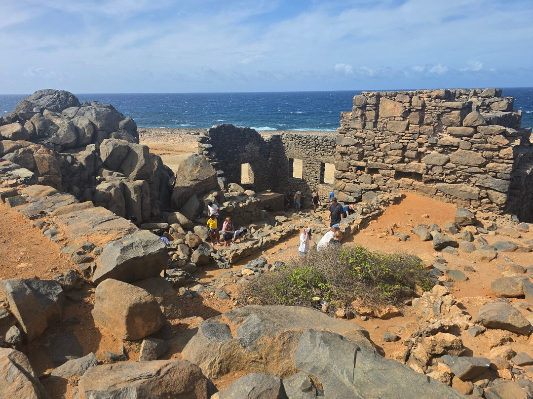 ABC Tours Aruba-奥腊涅斯塔德必去景点