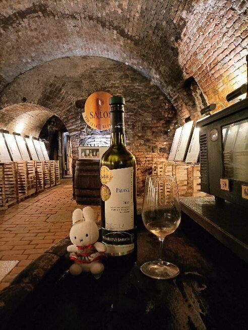 National Wine Salon (Národní salon vín)-Valtice必去景点