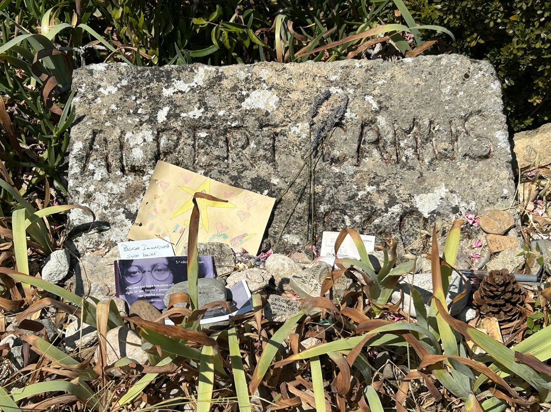 Albert Camus Grave-Lourmarin必去景点