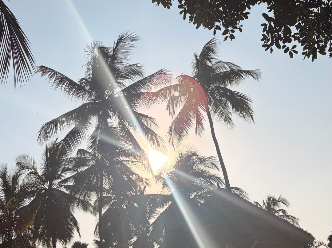 Paradise Beach Resort & Spa主图