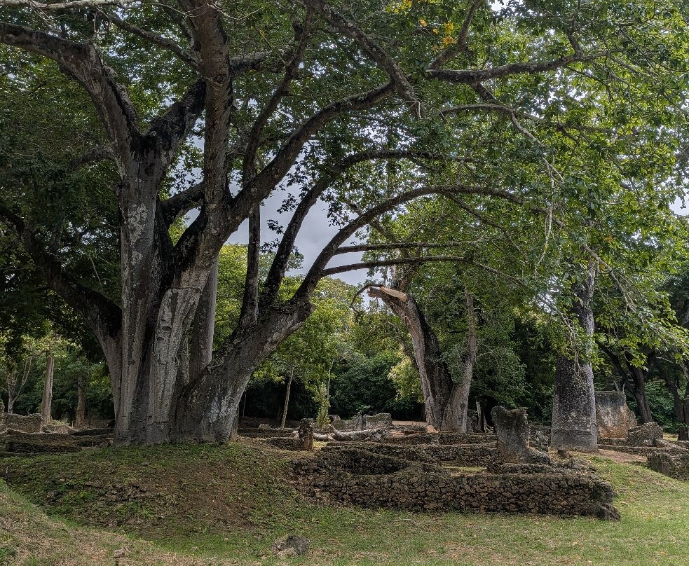 Safari In Kenya Con Samba-瓦塔木必去景点