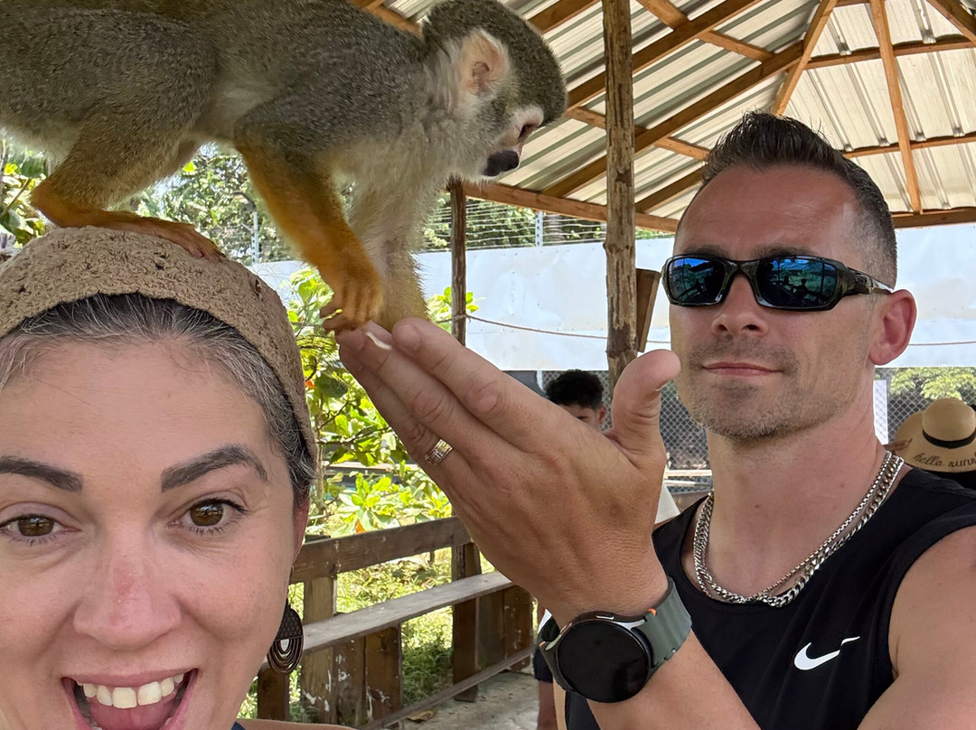 Monkey Home Puerto Plata-普拉塔港必去景点