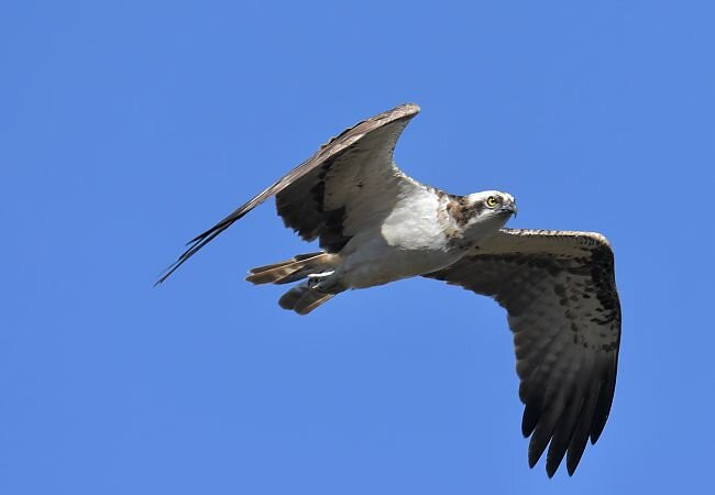 Nature Landes Pays Basque-Ondres必去景点