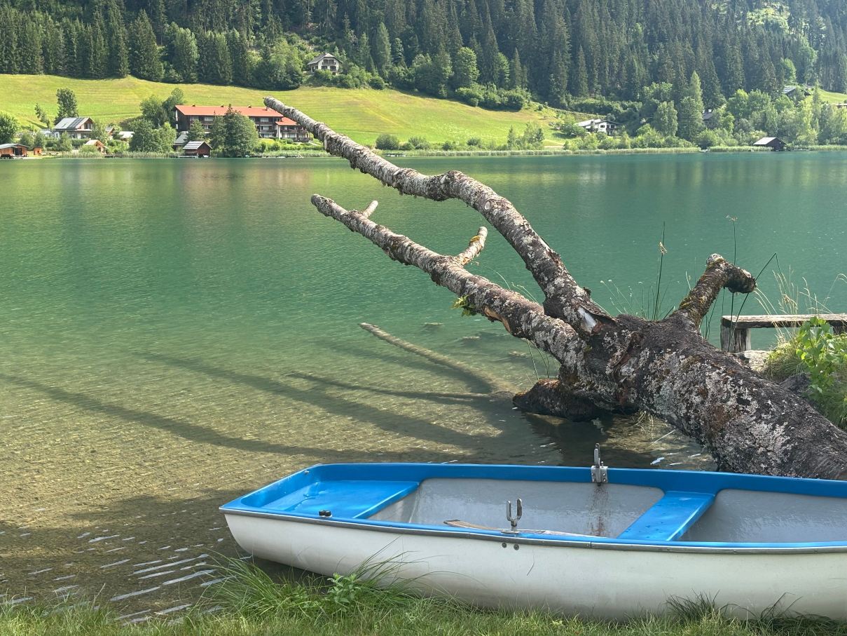 Das Leonhard - Naturparkhotel am Weissensee-旅行者