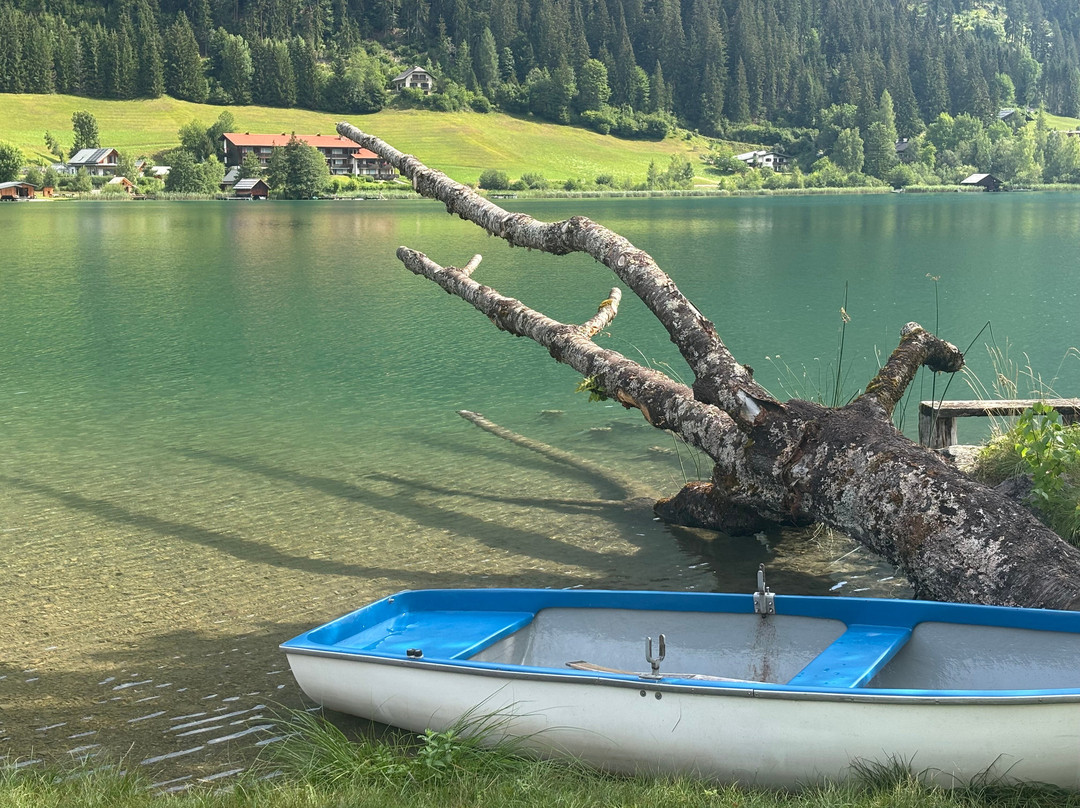 Das Leonhard - Naturparkhotel am Weissensee主图