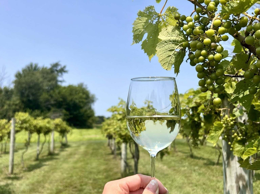 Carpenter Creek Cellars-Remington必去景点