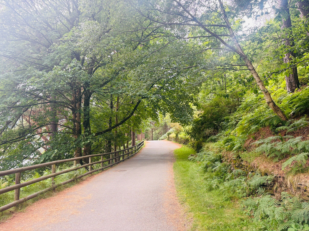 Wicklow Mountains National Park-Glendalough Village必去景点