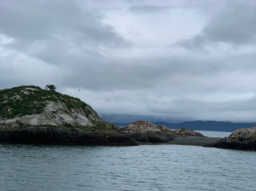 冰川湾-Glacier Bay National Park and Preserve必去景点