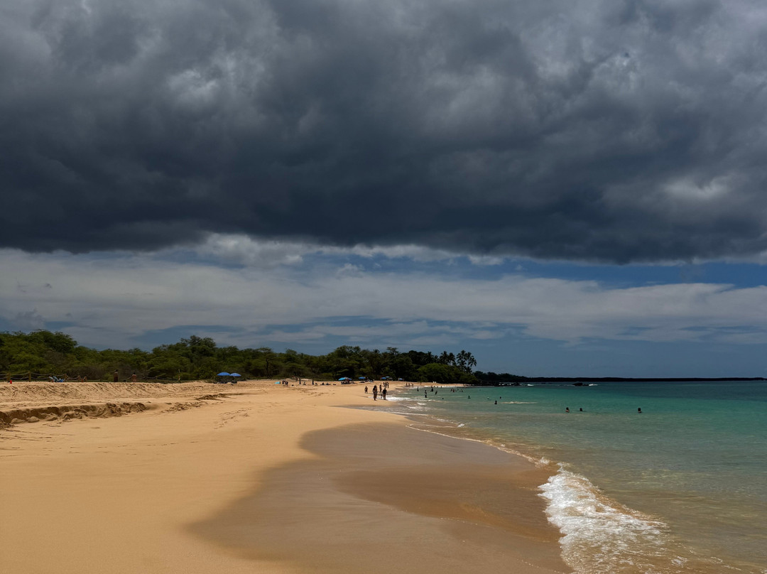 Makena State Park-维雷亚必去景点
