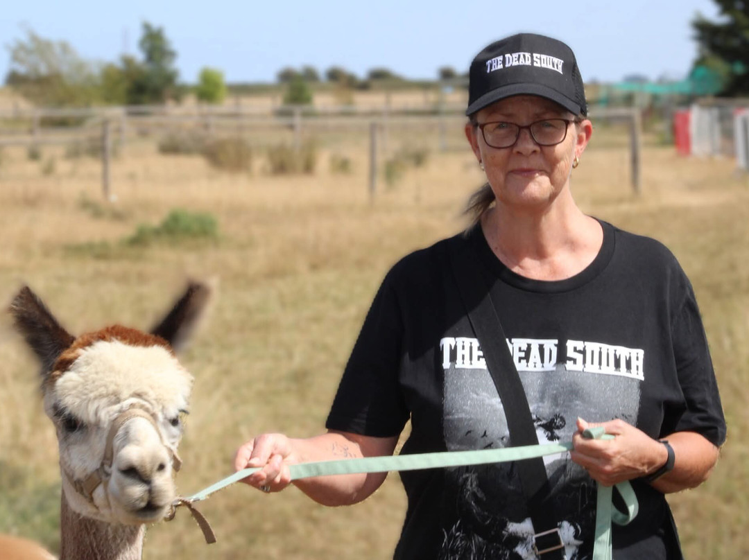Tawnymeade Alpaca's-波士顿必去景点