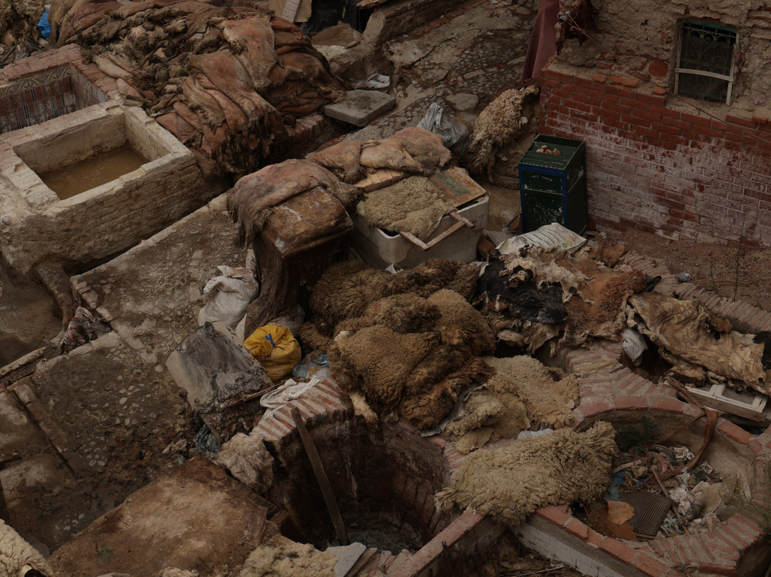 Tanneries of Tetouan-Tetouan必去景点