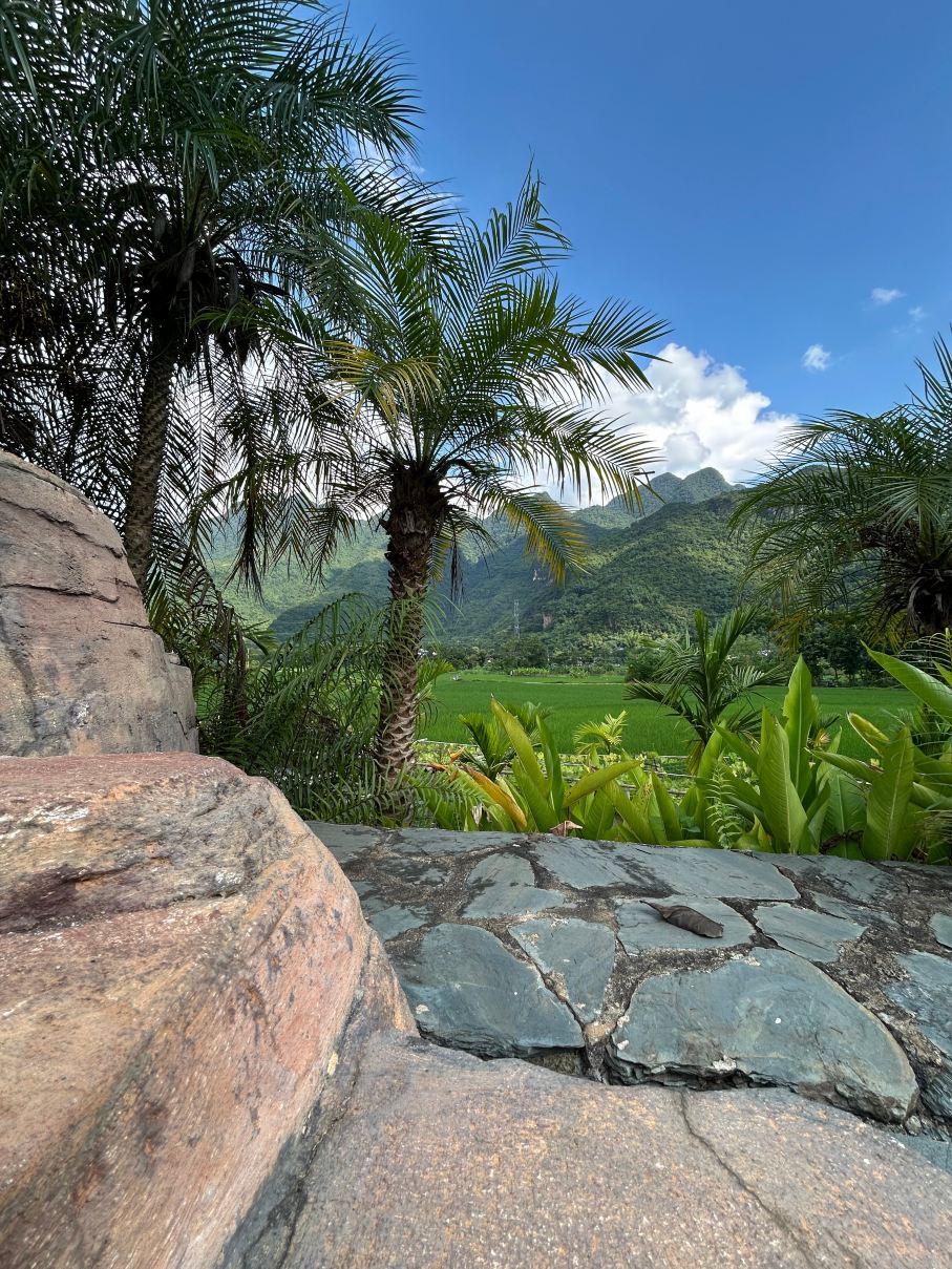Sol Bungalows Resort-旅行者