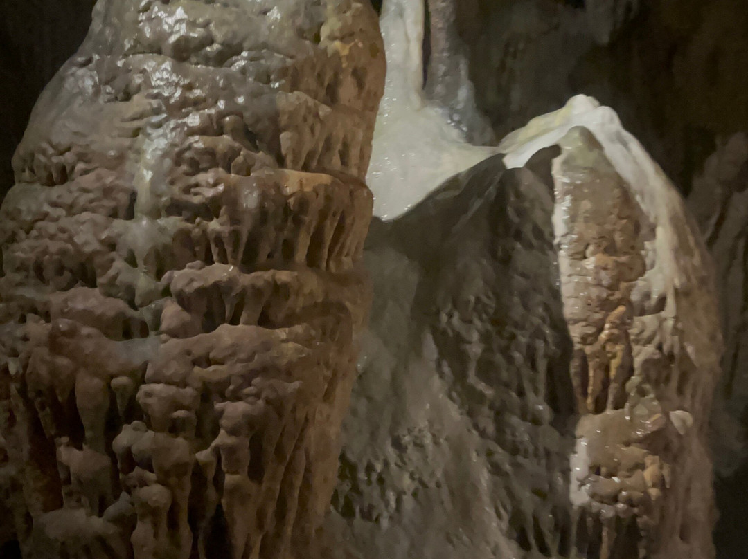 Grotta Zinzulusa-Castro必去景点