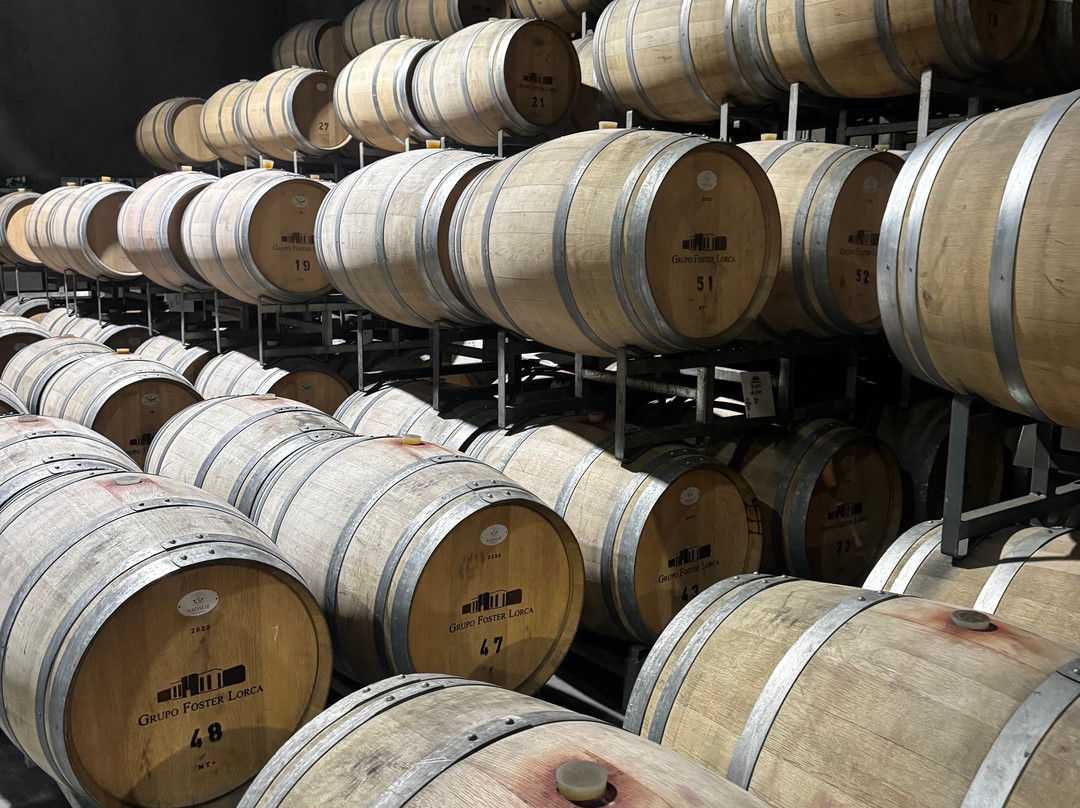 Bodega Mauricio Lorca-路冉得库约必去景点