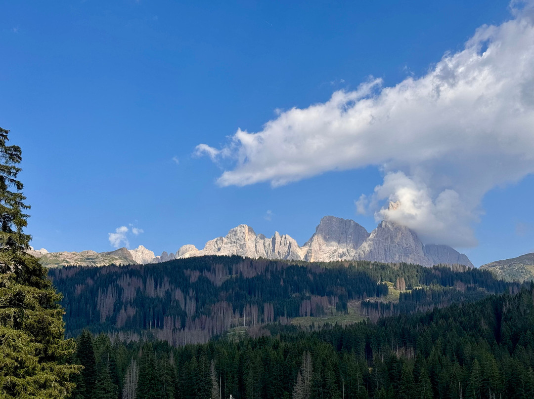 Parco Dei Cervi