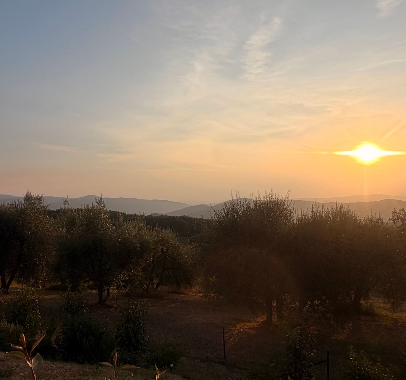 Tenuta Risalpiano-旅行者