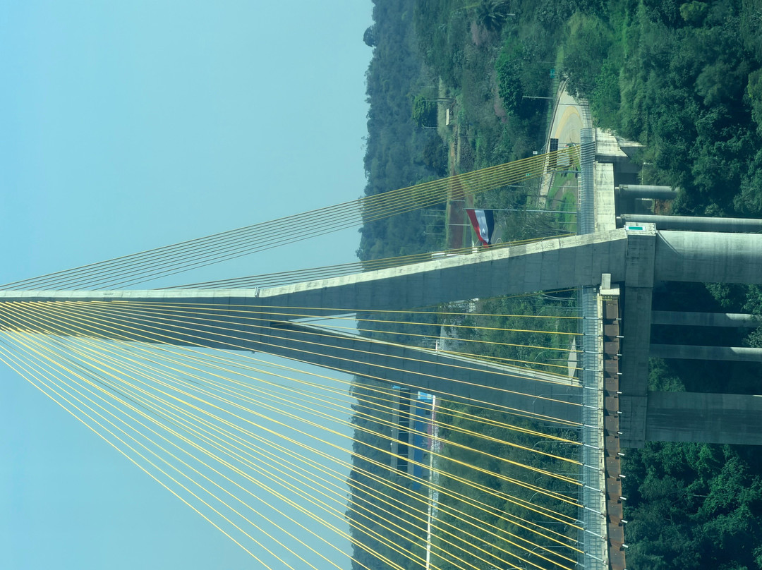 Yup Star Foz - Roda Gigante de Foz do Iguacu-伊瓜苏必去景点