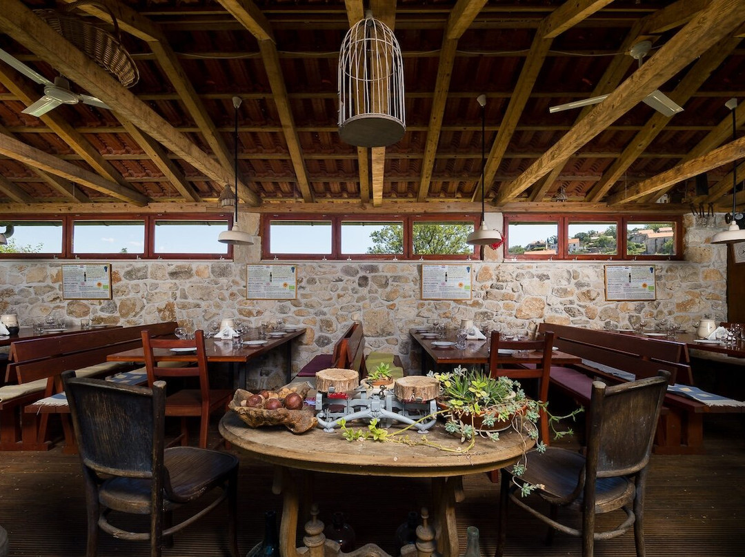 布拉奇岛旅游景点-Wine Tasting Brac & Olive Oil Brac