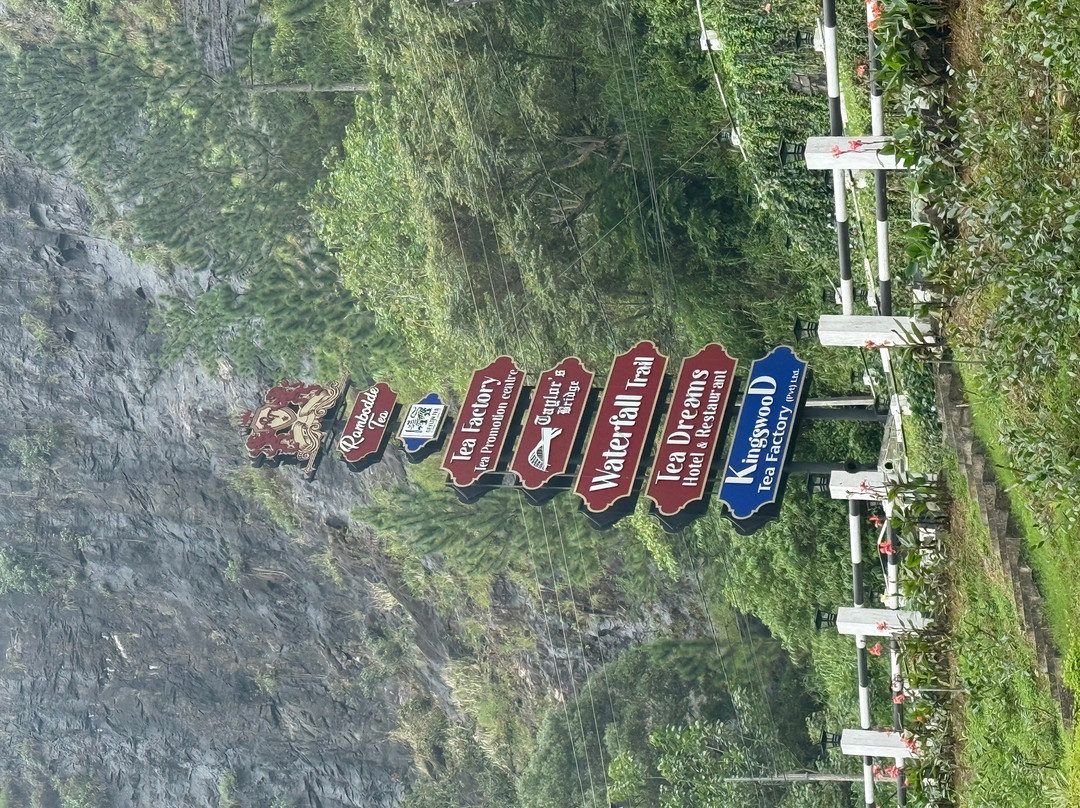 Asda Tours-Waikkal必去景点