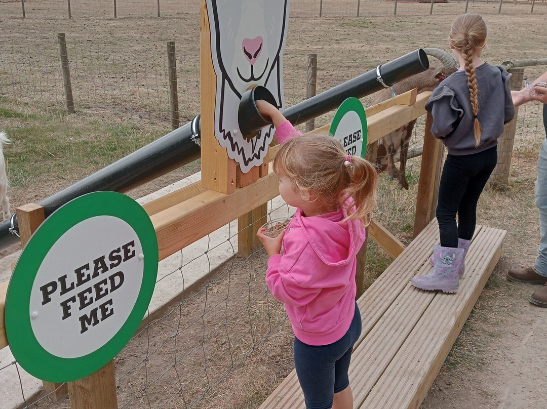 Piglets Adventure Farm-约克必去景点