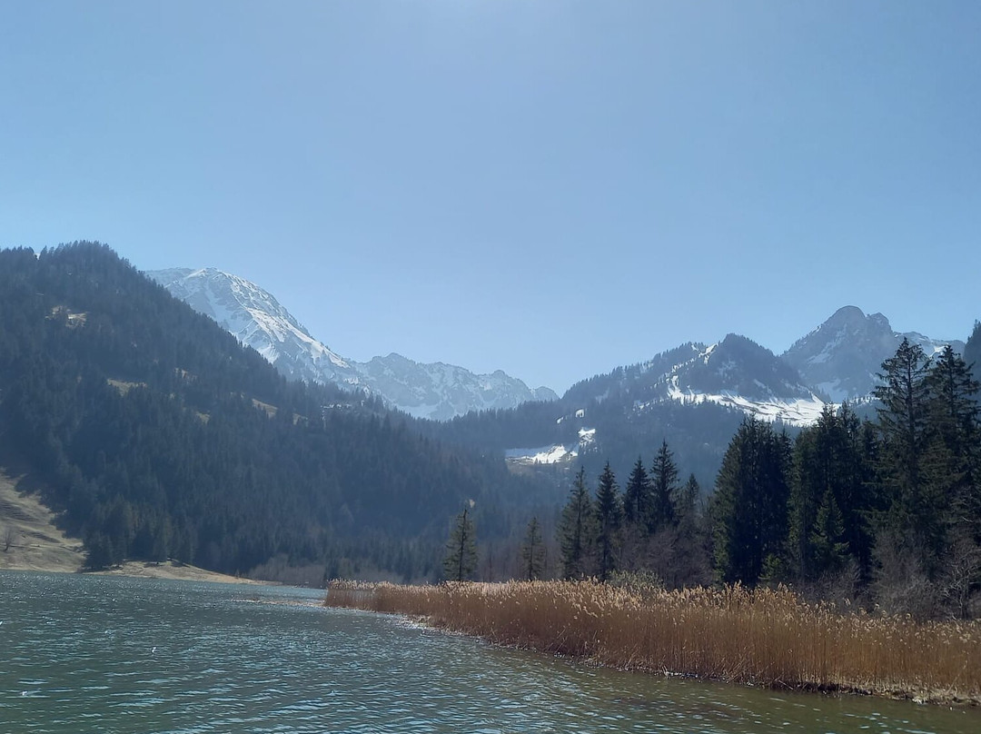 Schwarzsee Lac Noir-施瓦茨塞湖必去景点